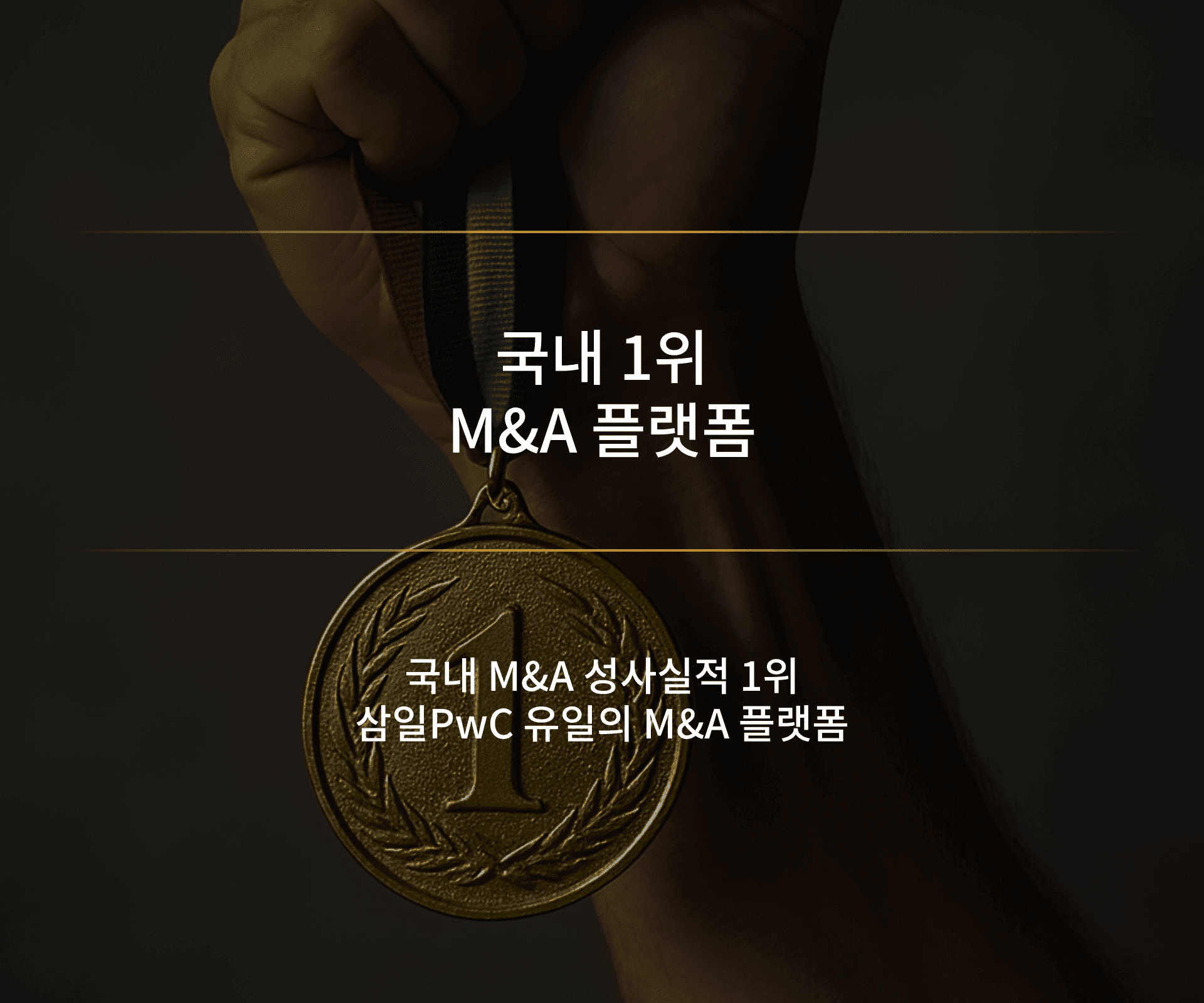 MNA Platform Desktop
